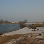 Unique Place On The River Waal 别墅 Heerewaarden