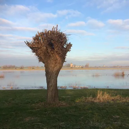 Unique Place On The River Waal *