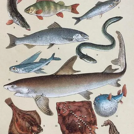 Unique Place On The River Waal Vila *