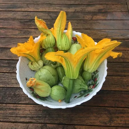 Unique Place On The River Waal Vila Heerewaarden