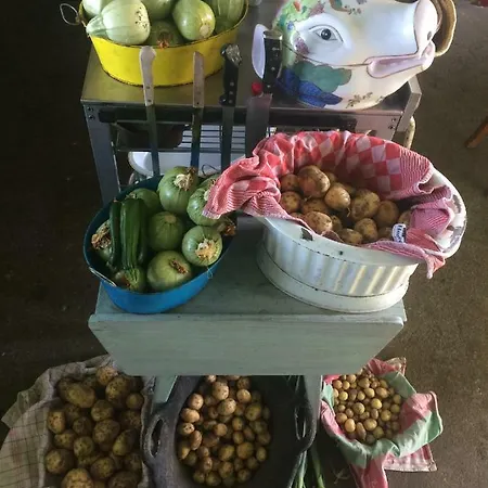 Unique Place On The River Waal Vila Heerewaarden