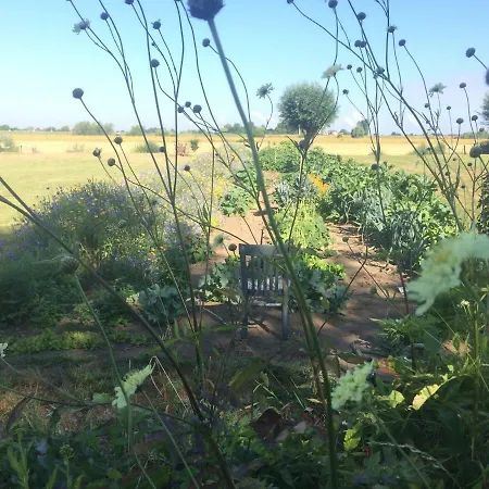 Unique Place On The River Waal Heerewaarden