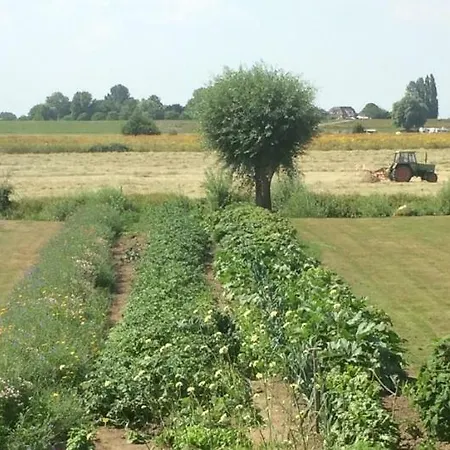 Unique Place On The River Waal *