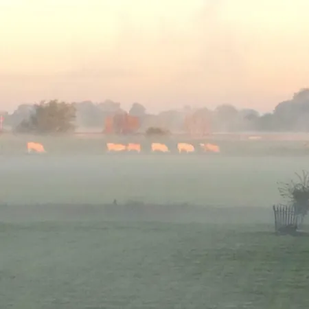 Unique Place On The River Waal Vila