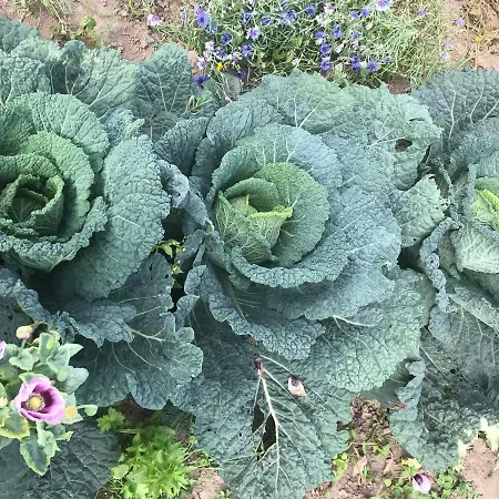 Unique Place On The River Waal Villa