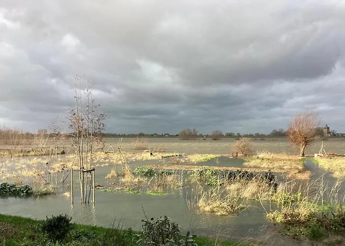 Unique Place On The River Waal *