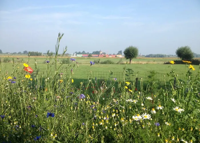 فيلة Unique Place On The River Waal Heerewaarden