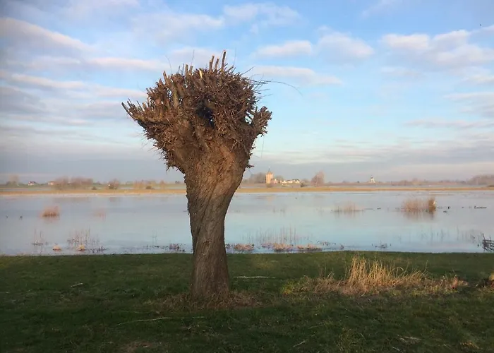 Unique Place On The River Waal *