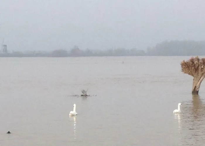 Unique Place On The River Waal * Heerewaarden