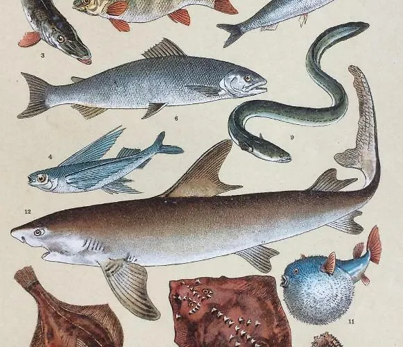 Unique Place On The River Waal Villa *