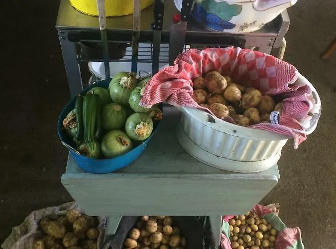 Unique Place On The River Waal Villa Heerewaarden