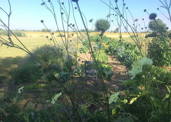 Unique Place On The River Waal Heerewaarden
