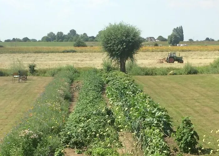 Unique Place On The River Waal *