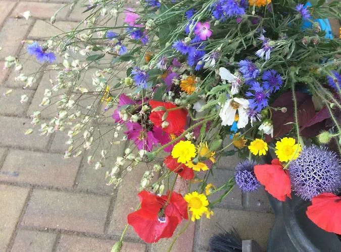 Unique Place On The River Waal *