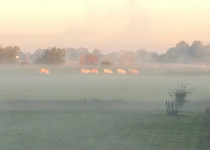 Unique Place On The River Waal Villa