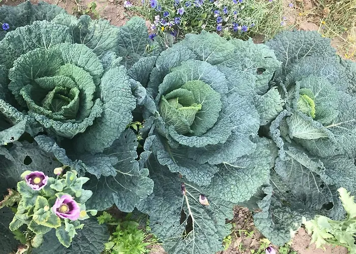 Unique Place On The River Waal Villa