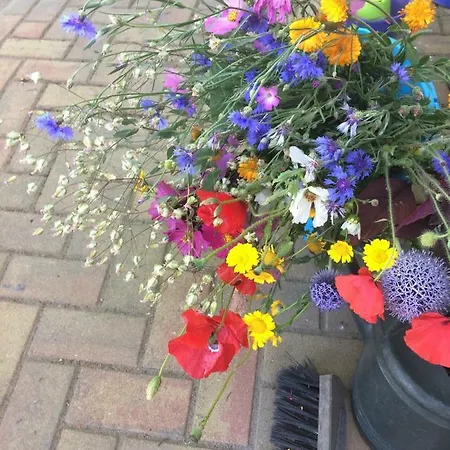 Unique Place On The River Waal *