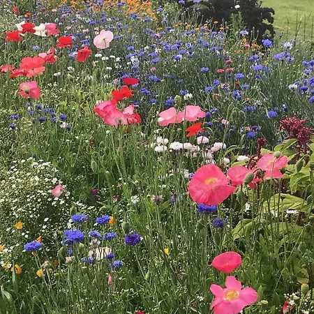 Unique Place On The River Waal * Heerewaarden